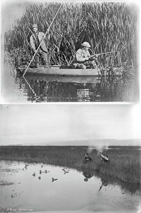Yolo bypass photos